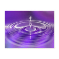 Purple Water Drop Post Cards
