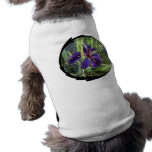 Purple Water Iris pet clothing