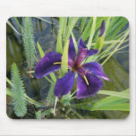 Purple Water Iris Mousemats