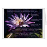 Purple Water Lily with poem by Rumi Greeting Card