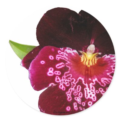 Purple Wedding Flowers Envelope Seals Round Sticker by naturalilly