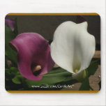 "Purple White Calla Lilies" Mousepad