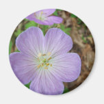 Purple Wild Geranium magnets