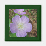 Purple Wild Geranium magnets