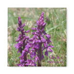 Purple wild orchid magnets