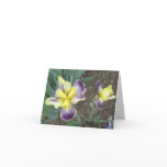 Purple Yellow Iris Pair Small Note Card