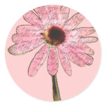 purpleconeflowerbeloved3 sticker