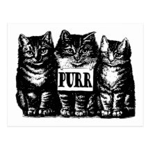 Purr Kittens Post Card