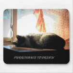 Purrchance to dream mousepad