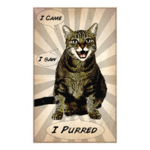 Purred Photo Print