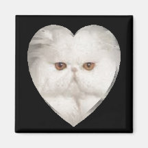 Purrfect Kitty Magnet