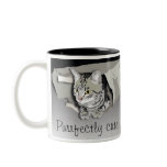 Purrfectly Cute mugs