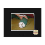 purrito postcards