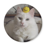"Purrl" Magnet