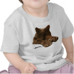 ...purrr... kitty shirt