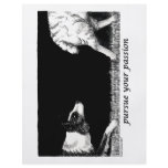 Pursue your passion Border Collie flyers