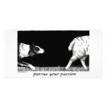 Pursue your passion Border Collie photo cards