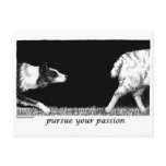 Pursue your passion Border Collie postcards