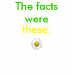pushing daisies t-shirts