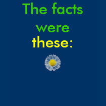pushing daisies t-shirts