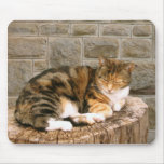 Pussels - Cat on a Stump mousepads