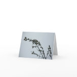 Pussy Willow Note Card