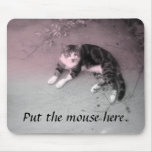 Put the mouse here mouse mat