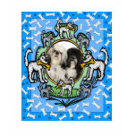 PUT YOUR PETS PHOTO HERE... t-shirts