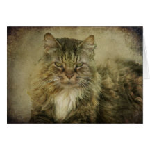 Putz the Cat Greeting Card
