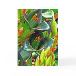 Puya alpestris greeting card
