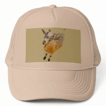 Pygmy Goat Mesh Hats