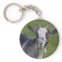 Pygmy Goat Keyring Keychain
