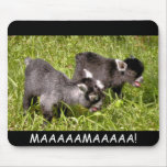 Pygmy goat kids. MAAAAAMAAAAA! mouse pad mousepads