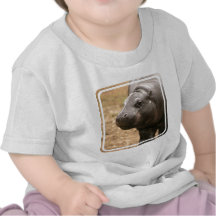 Pygmy Hippo Baby T-Shirt