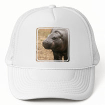 Pygmy Hippo Baseball Hat