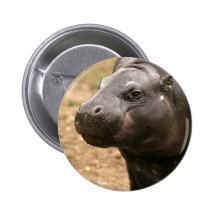 Pygmy Hippo Button