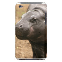 Pygmy Hippo iTouch Case iPod Case-Mate Cases