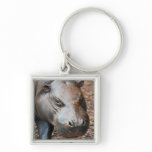 Pygmy Hippo keychains