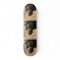 Pygmy Hippo Skateboard