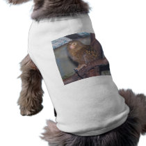 Pygmy Marmoset Portrait Pet Tee Shirt