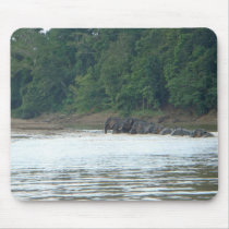 Pygmy Paddle Mouse Pads