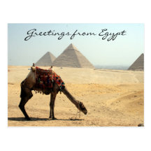 pyramid camel greetings post card