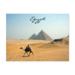 pyramid camel postcards