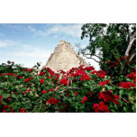 Pyramid Of The Magician With Bougainvillea, Uxmal photo sculptures