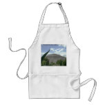 Pyramid of the Sun, Teotihuacan, Mexico aprons