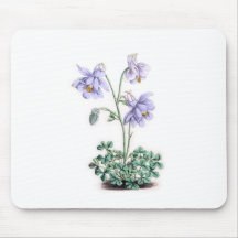 Pyrenees Columbine - Aquilegia pyrenaica Mouse Pads
