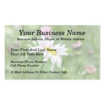 Pyrethrum Daisies -  Tanacetum coccineum Business Card