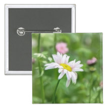 Pyrethrum Daisies -  Tanacetum coccineum Pins