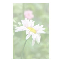 Pyrethrum Daisies -  Tanacetum coccineum Stationery Paper