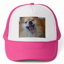 qpc user template, def at 30% trucker hats